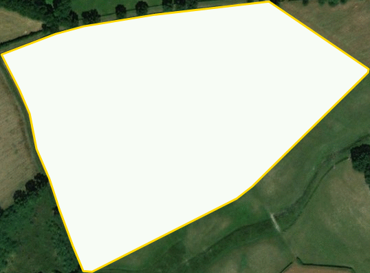 Image capture analysis